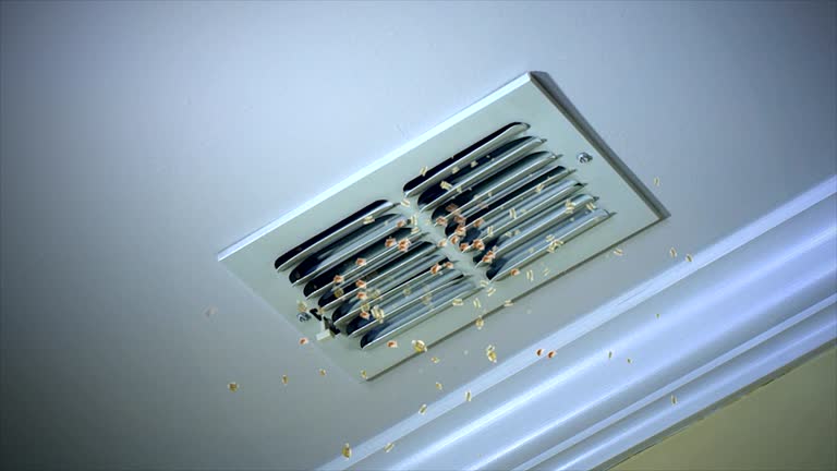 Best Affordable Duct Cleaning Services  in Brown City, MI
