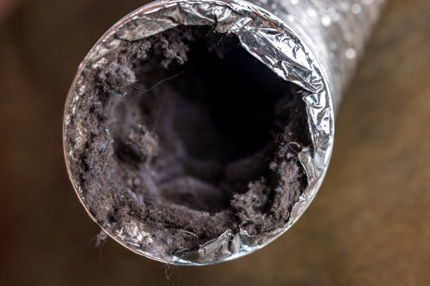 Best Air Duct Cleaning Near Me  in Brown City, MI