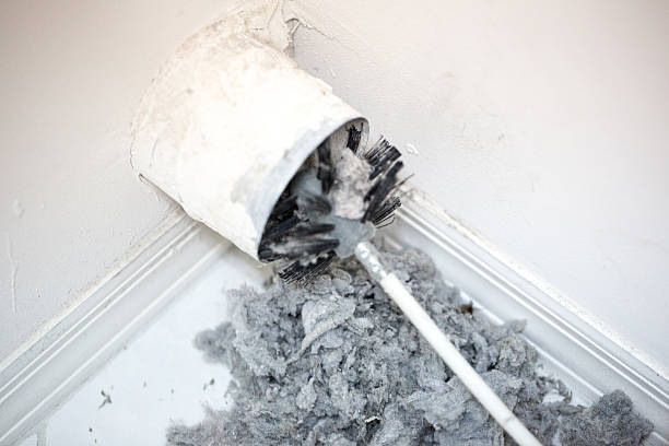 Best Residential Air Duct Cleaning  in Brown City, MI